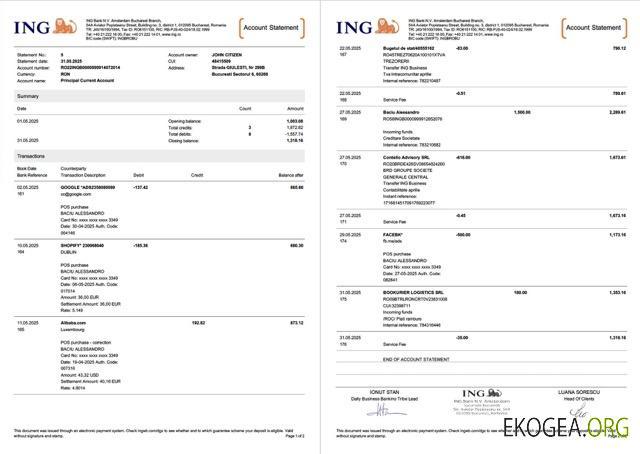 Pays Bas Relevé de compte bancaire ING Modèle Word et PDF, 2 pages